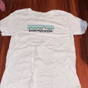 patagonia tshirt